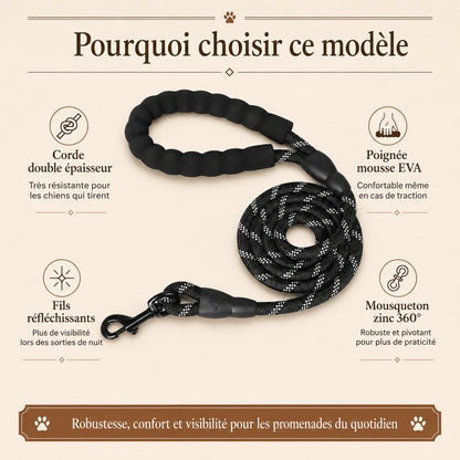 laisse reflechissante renforcee poignee rembourree pourquoi choisir ce modele