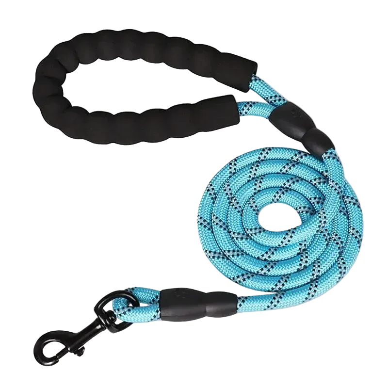 Laisse réfléchissante renforcée à poignée rembourrée pour chien, coloris turquoise