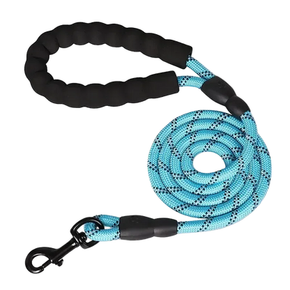 Laisse réfléchissante renforcée à poignée rembourrée pour chien, coloris turquoise