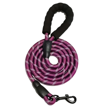 Laisse réfléchissante renforcée à poignée rembourrée pour chien, coloris violet, enroulée