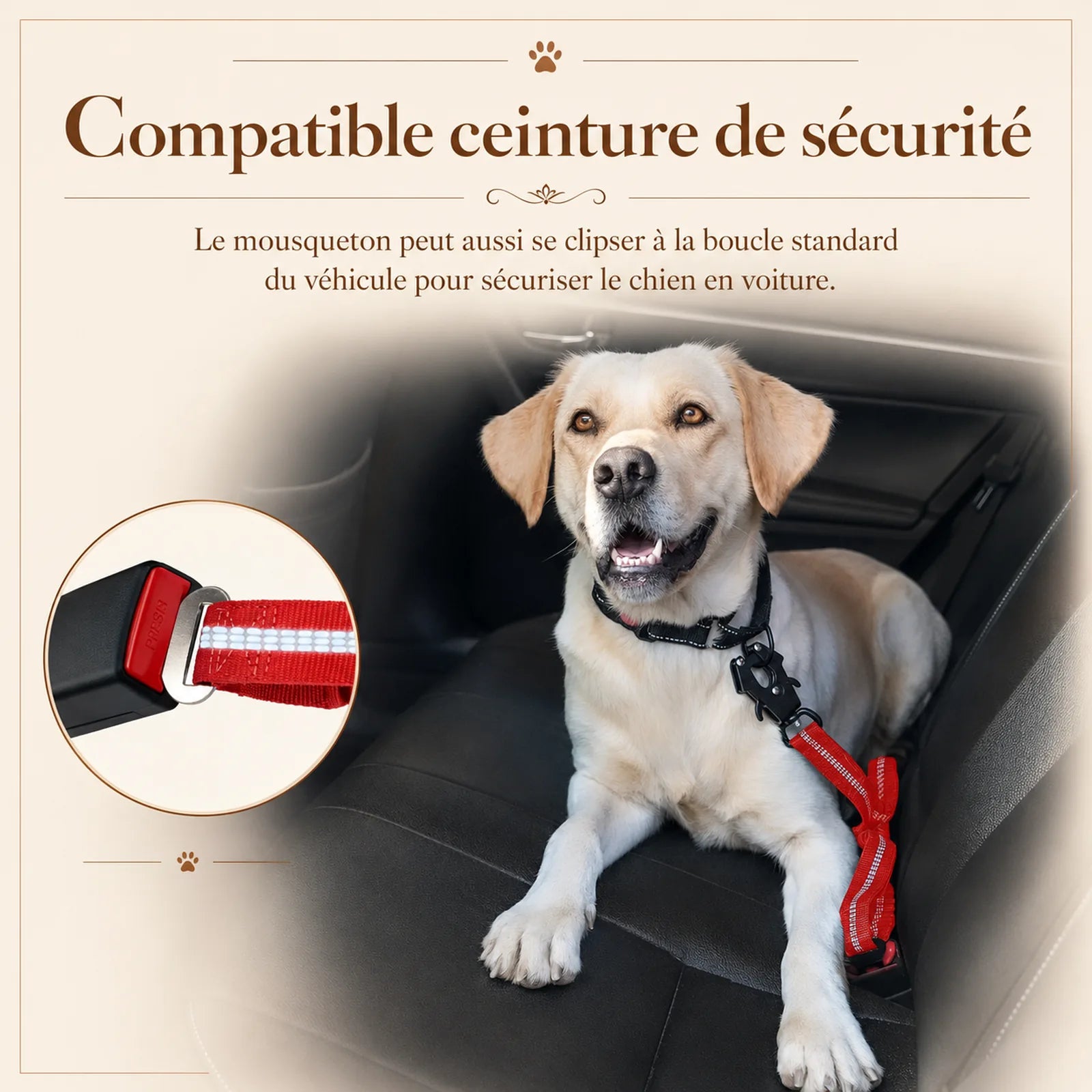 laisse tactique amortissante double poignee ajout ceinture voiture