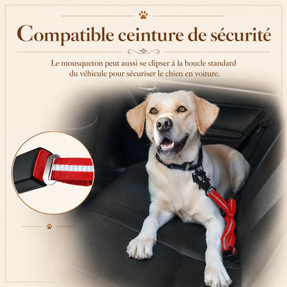 laisse tactique amortissante double poignee ajout ceinture voiture