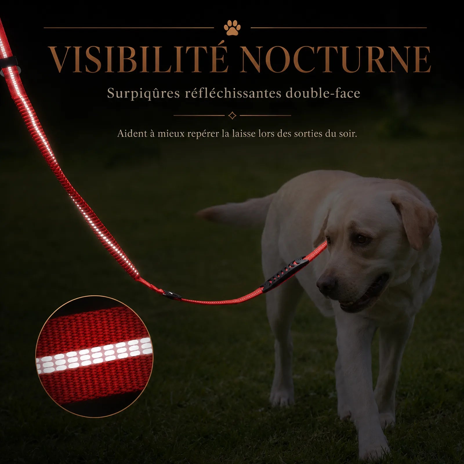 laisse tactique amortissante double poignee ajout visibilite nocturne