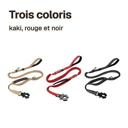 Laisse anti-traction amortissante à double poignée : trois coloris, kaki, rouge et noir