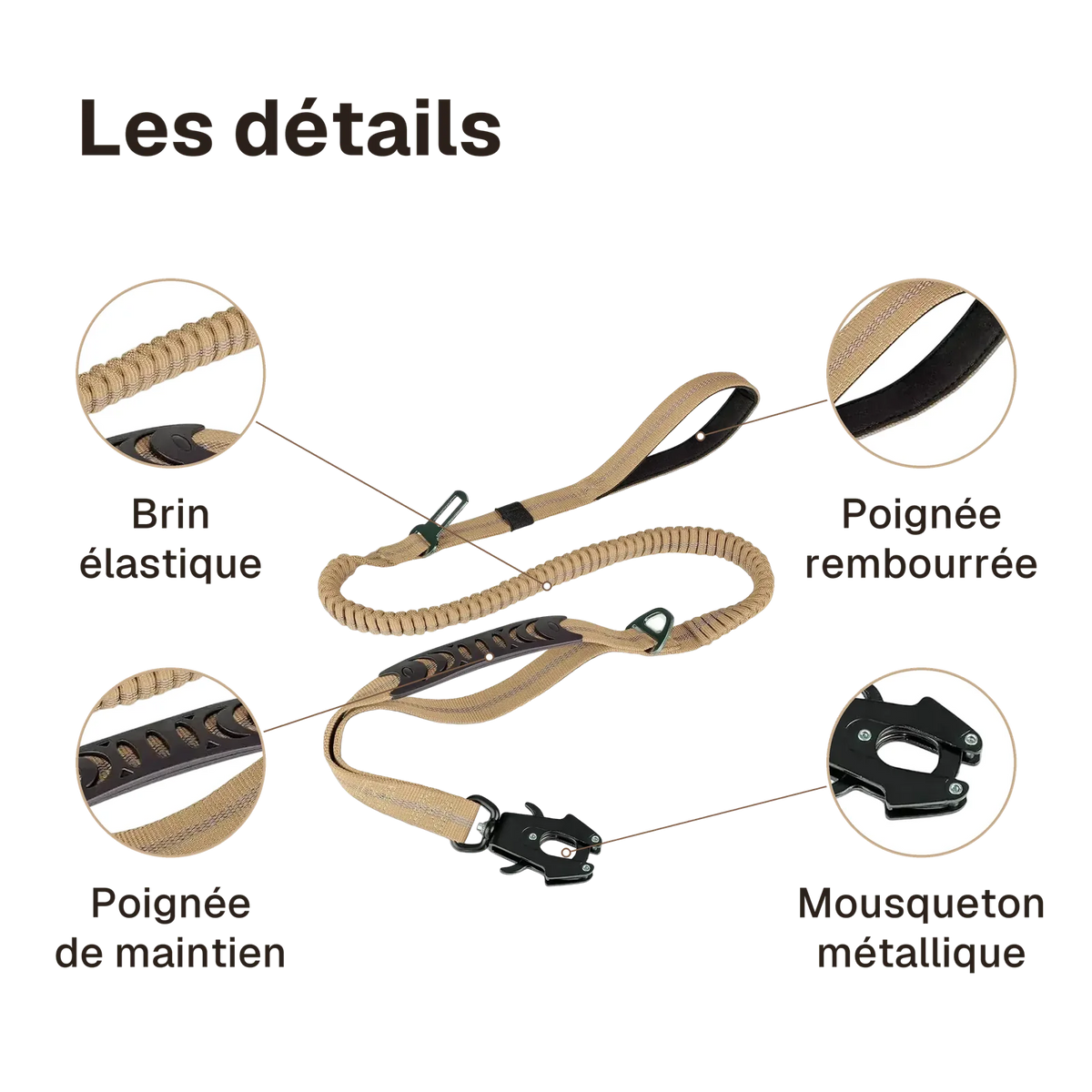 Les détails de la laisse anti-traction : poignée rembourrée, brin élastique, poignée de maintien, mousqueton métallique