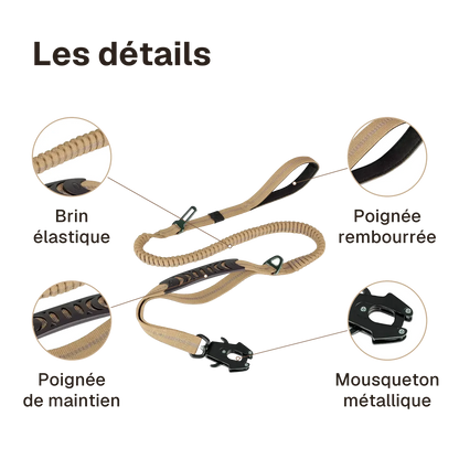 Les détails de la laisse anti-traction : poignée rembourrée, brin élastique, poignée de maintien, mousqueton métallique