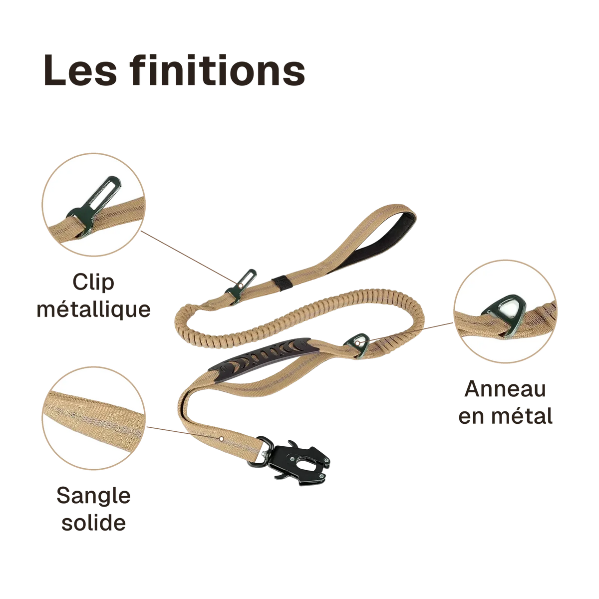 Les finitions de la laisse anti-traction : anneau en métal, clip métallique, sangle solide