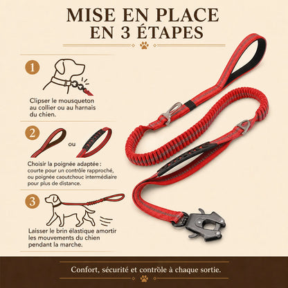 laisse tactique amortissante double poignee mise en place 3 etapes
