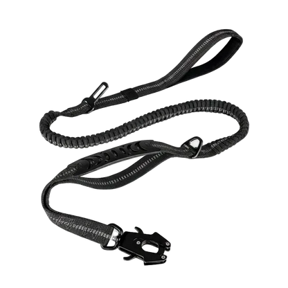 Laisse tactique amortissante à double poignée pour chien, coloris noir