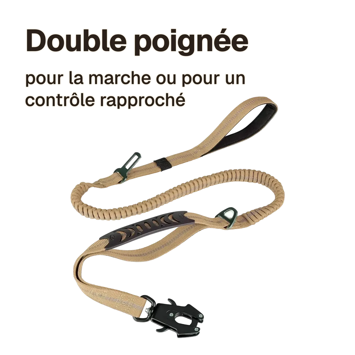Laisse anti-traction amortissante : double poignée, une pour la marche et une courte pour un contrôle rapproché