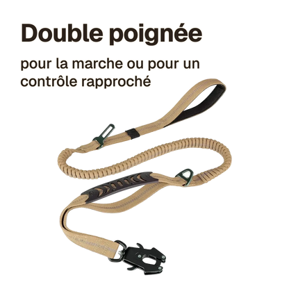 Laisse anti-traction amortissante : double poignée, une pour la marche et une courte pour un contrôle rapproché