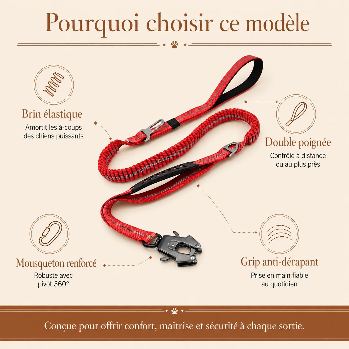 laisse tactique amortissante double poignee pourquoi choisir ce modele