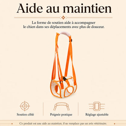 sangle chien handicape arriere benefice principal