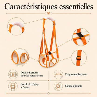 sangle chien handicape arriere caracteristiques essentielles