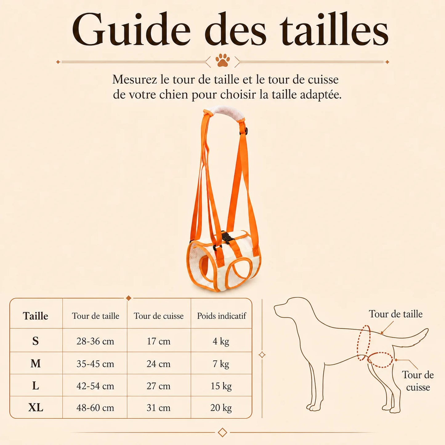 sangle chien handicape arriere guide des tailles