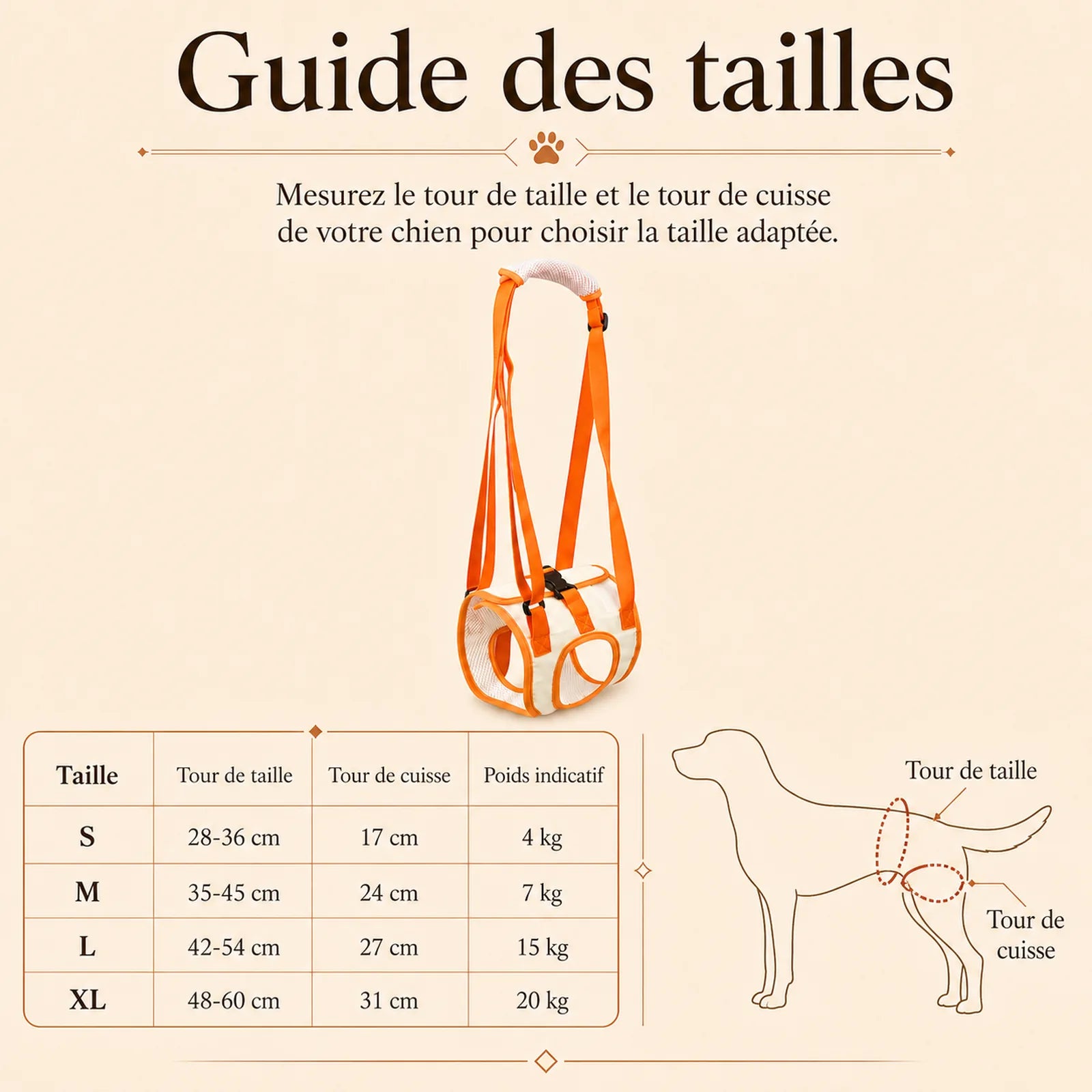 sangle chien handicape arriere guide des tailles
