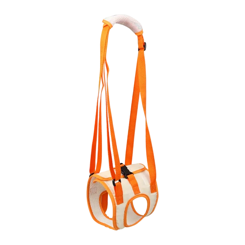 Sangle chien handicapé arrière, coloris orange et blanc