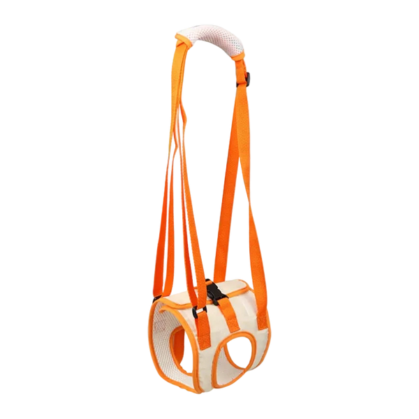 Sangle chien handicapé arrière, coloris orange et blanc
