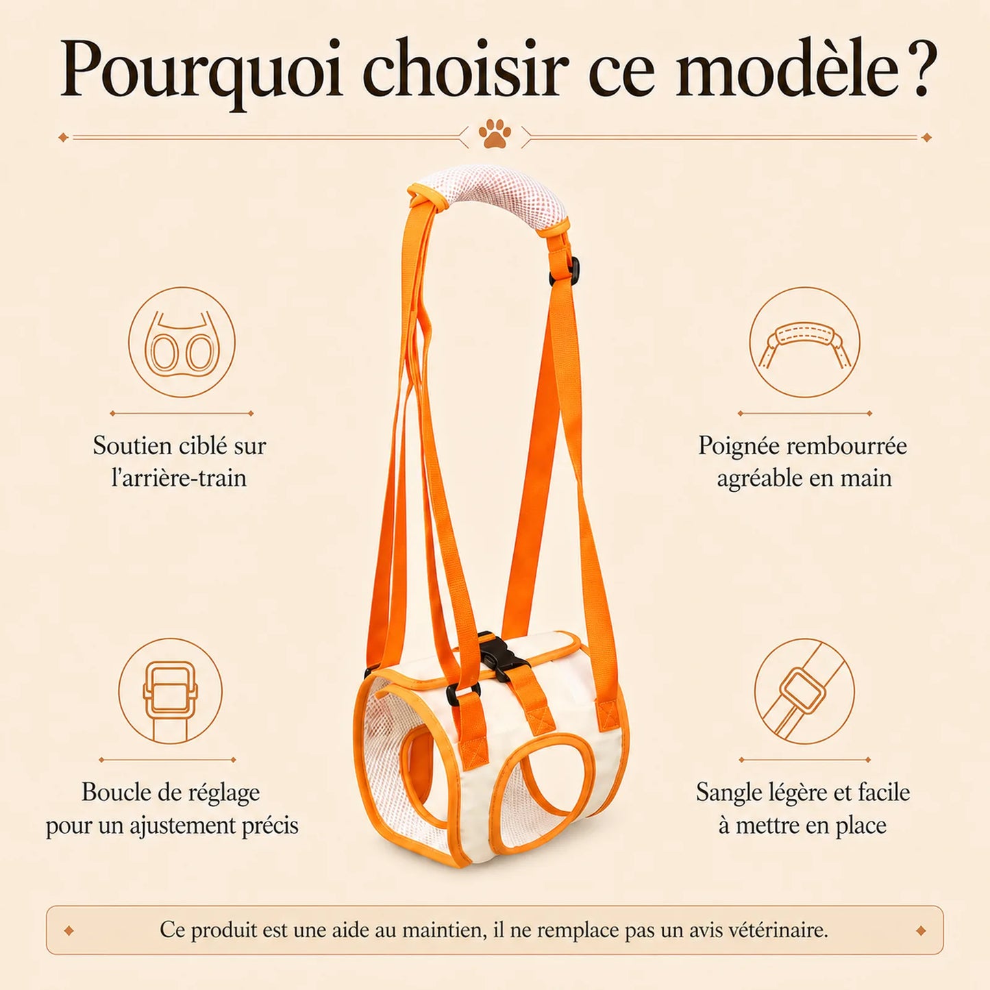 sangle chien handicape arriere pourquoi choisir ce modele