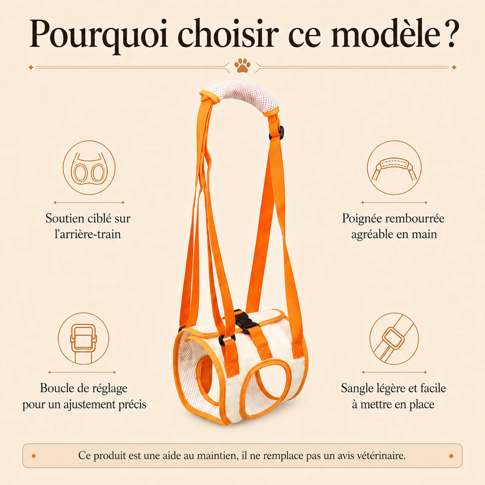 sangle chien handicape arriere pourquoi choisir ce modele