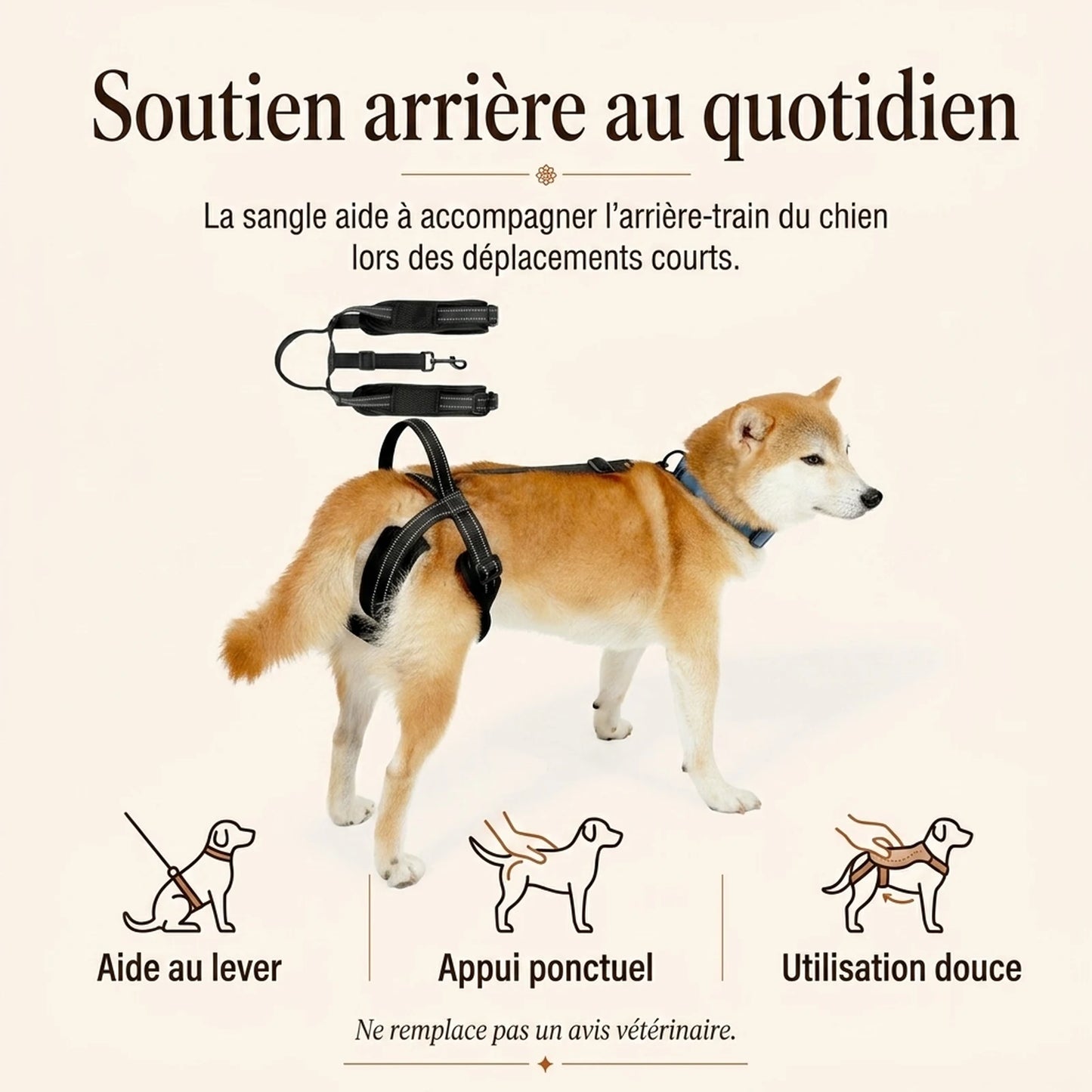 sangle chien handicape noire benefice principal