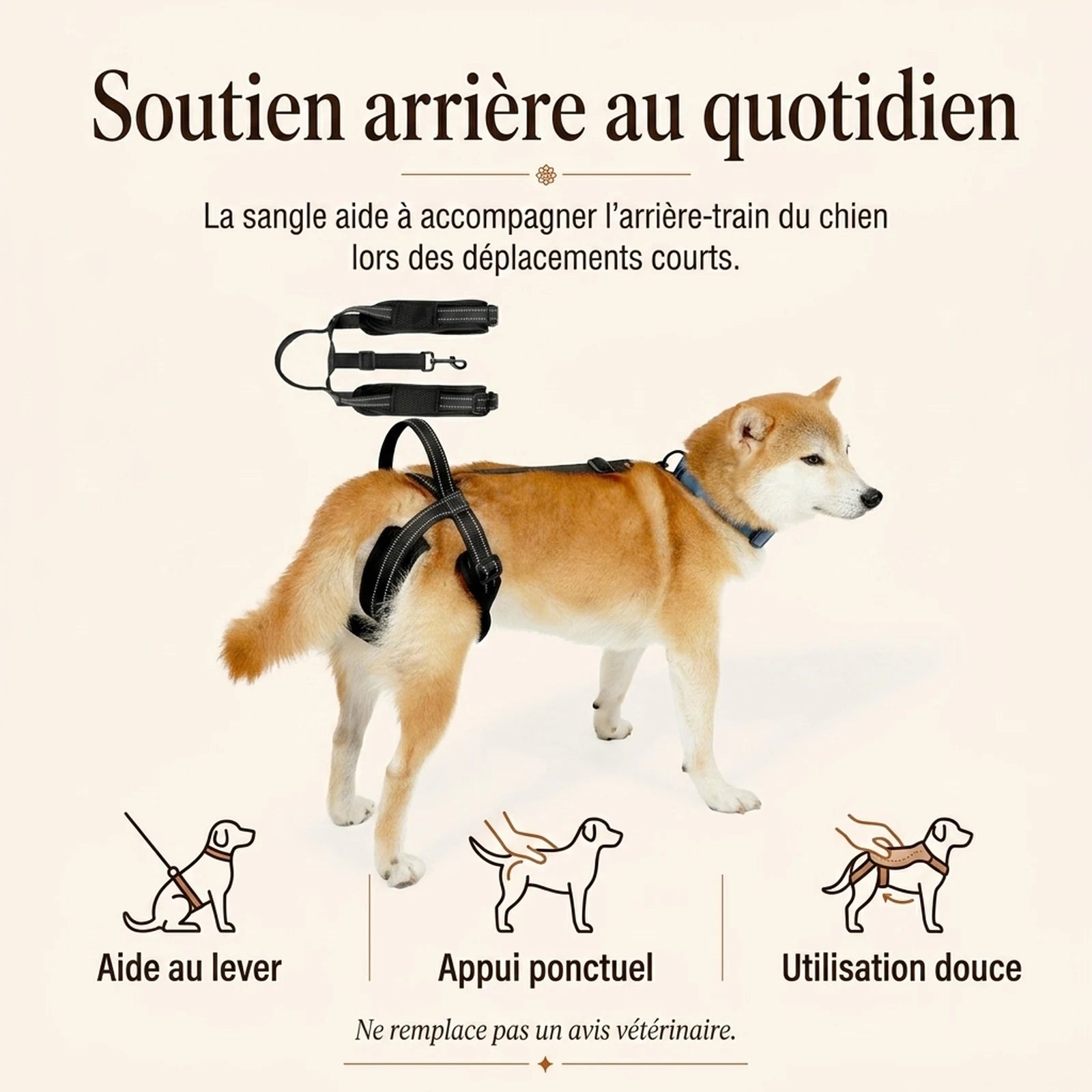 sangle chien handicape noire benefice principal