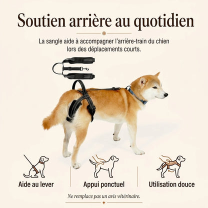 sangle chien handicape noire benefice principal