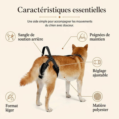 Sangle Chien Handicape Noire - caracteristiques essentielles - ancienne v1