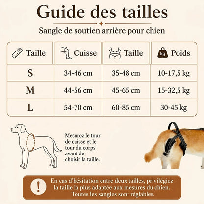 Sangle Chien Handicape Noire - guide des tailles - ancienne v1