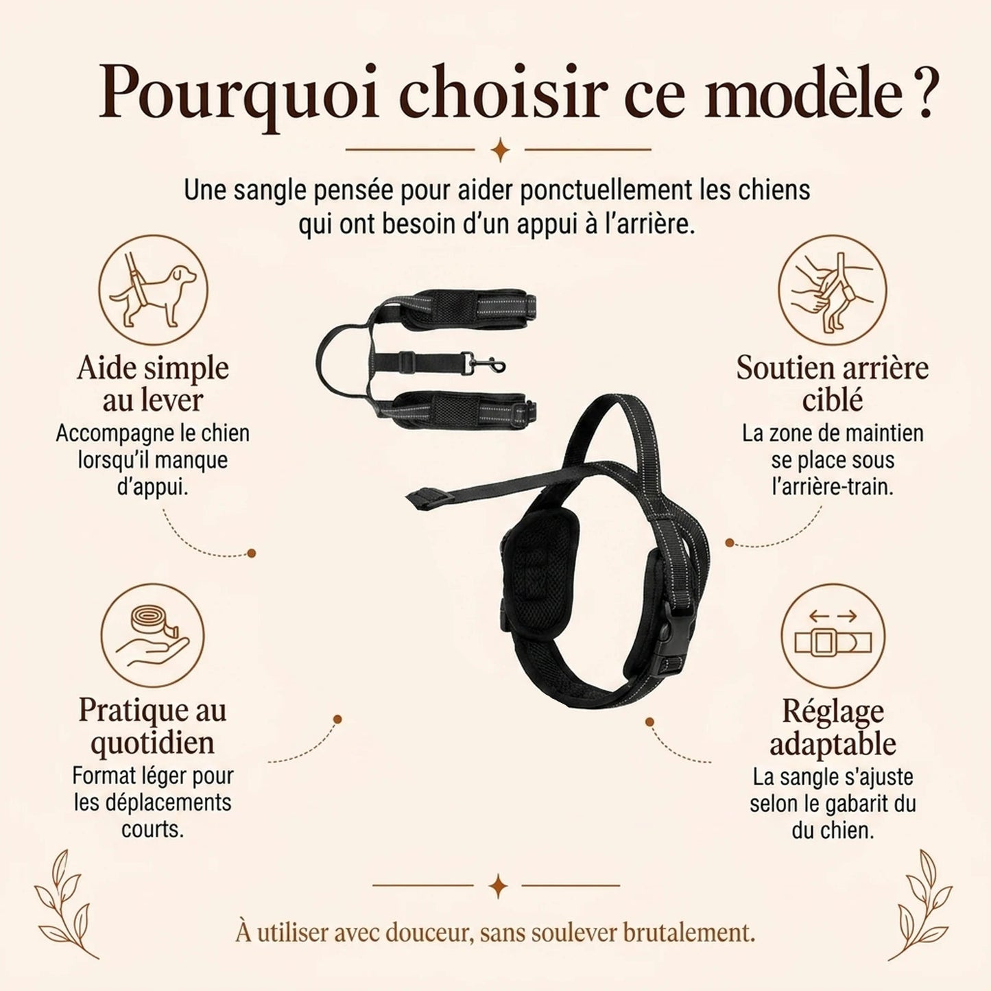 Sangle Chien Handicape Noire - pourquoi choisir ce modele - ancienne v1