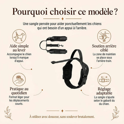 Sangle Chien Handicape Noire - pourquoi choisir ce modele - ancienne v1