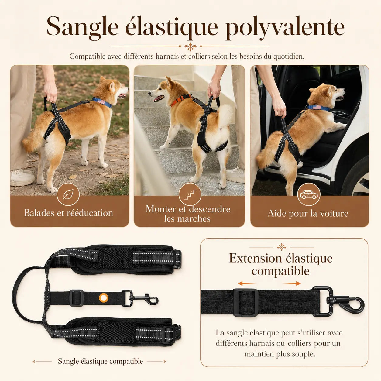 Sangle Chien Handicapé Noire