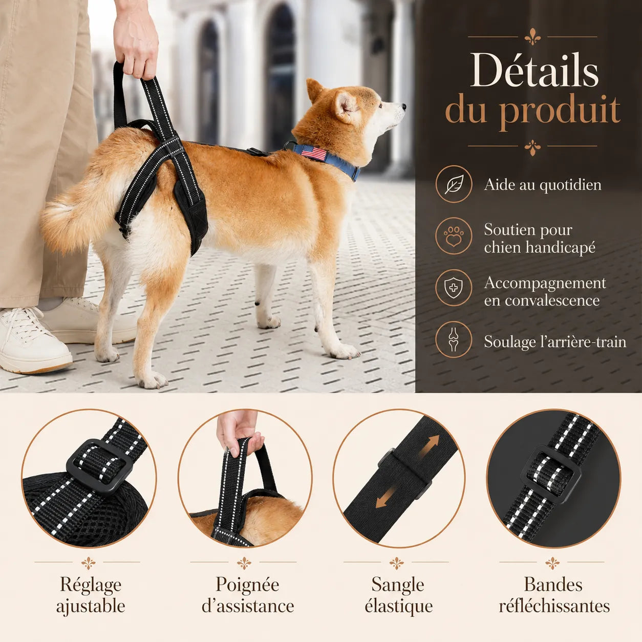 Sangle Chien Handicapé Noire