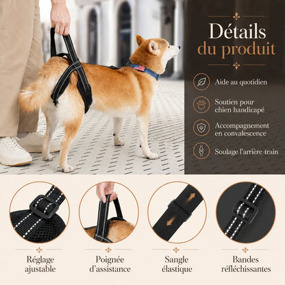 Sangle Chien Handicapé Noire