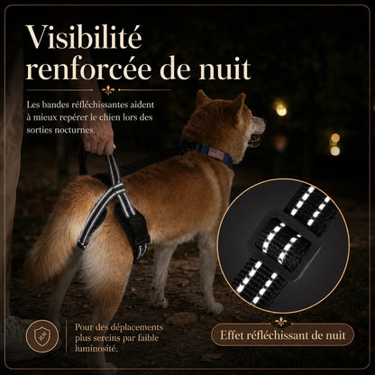 Sangle Chien Handicapé Noire