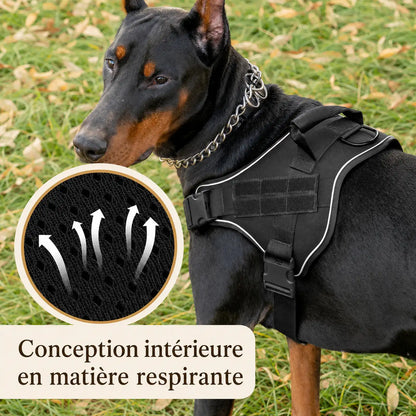 Harnais Tactique Chien Coloré - Matière respirante