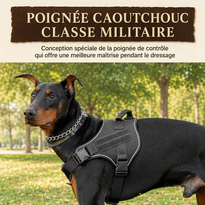 Harnais Tactique Chien Coloré - Poignée caoutchouc