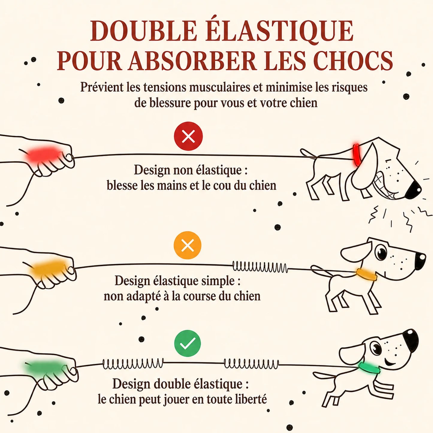 Laisse Élastique Réfléchissante Mains Libres - Double élastique