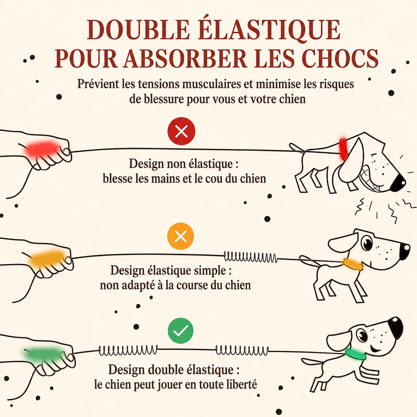 Laisse Élastique Réfléchissante Mains Libres - Double élastique