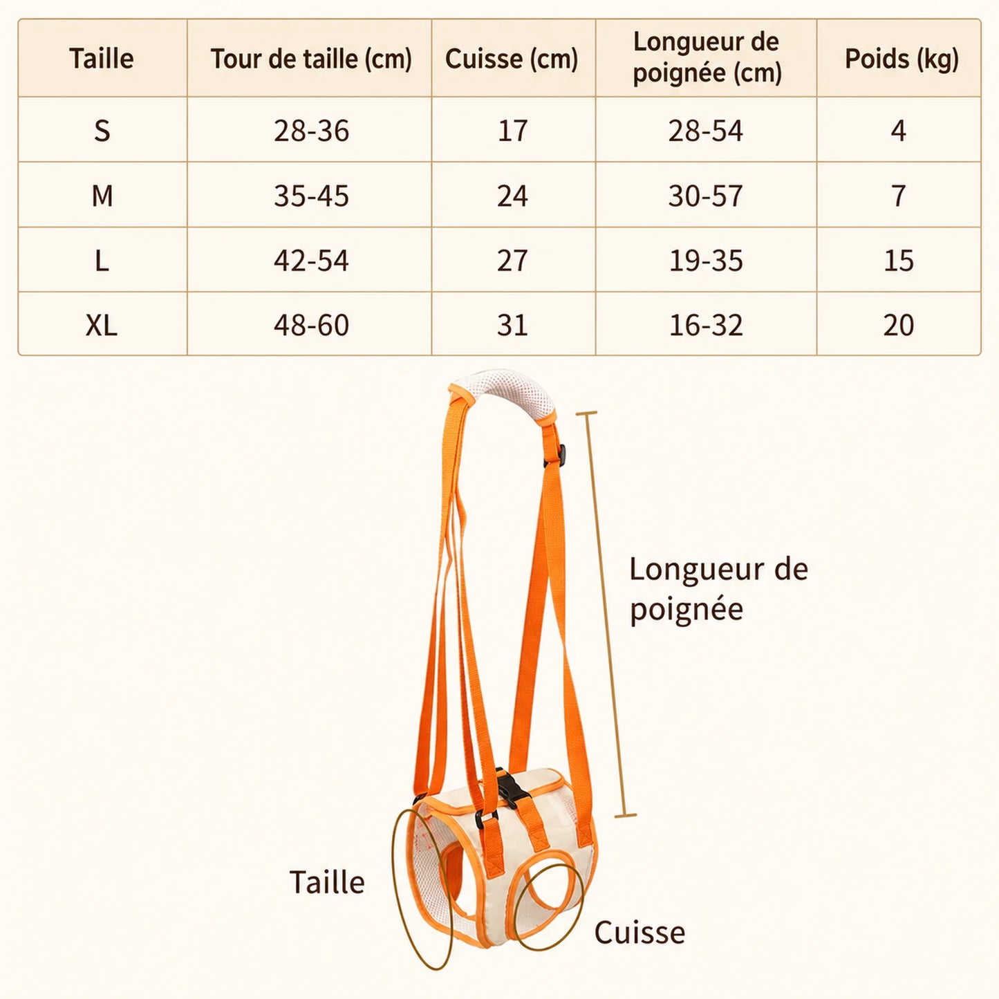 Sangle Chien Handicapé Arrière - Guide des tailles