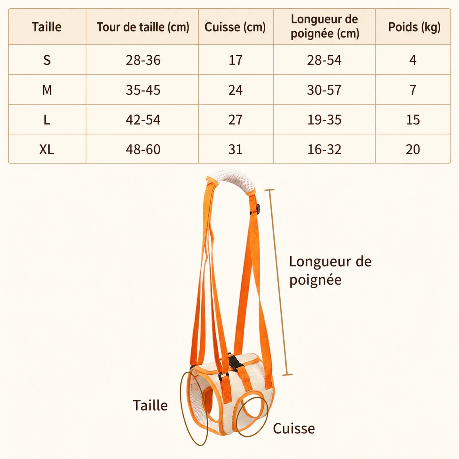 Sangle Chien Handicapé Arrière - Guide des tailles