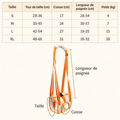 Sangle Chien Handicapé Arrière - Guide des tailles