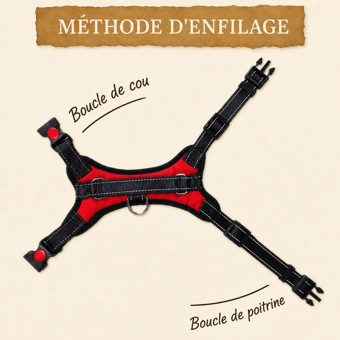 Harnais Chiot Maille Respirante - Méthode d'enfilage