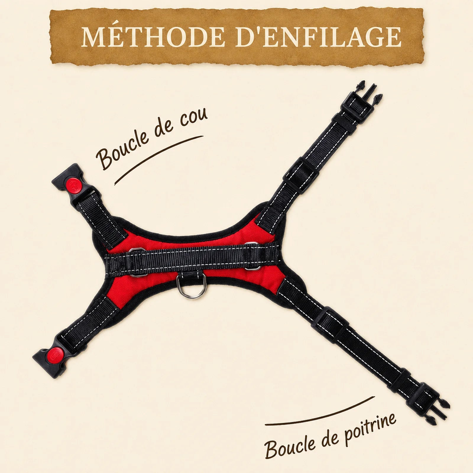 Harnais Chiot Maille Respirante - Méthode d'enfilage