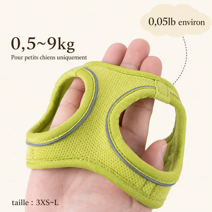 Harnais Chiot Respirant Multicolore - Poids et taille