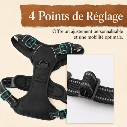 Harnais Chien Poignée Polyvalent - 4 points de réglage