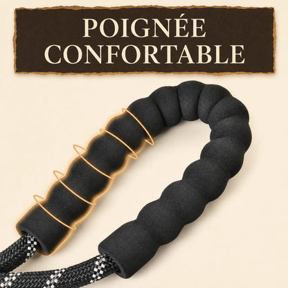 Laisse Réfléchissante Renforcée Poignée Rembourrée - Poignée confortable