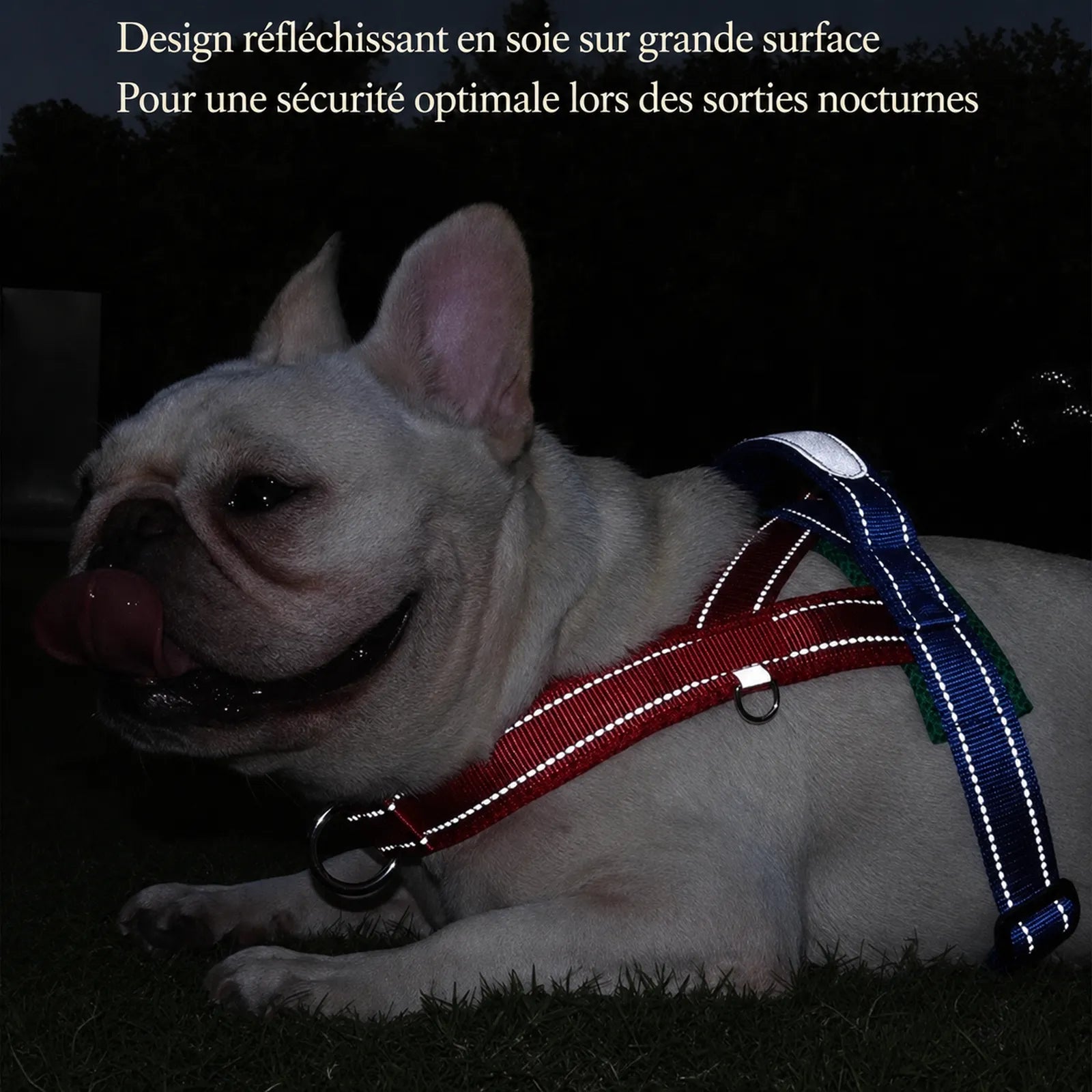 Harnais Petit Chien Selle Ajustable - Réfléchissant de nuit