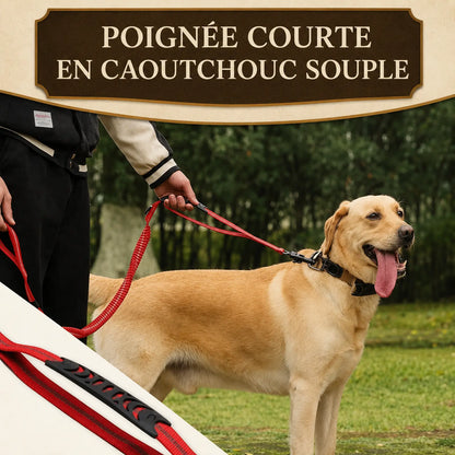 Laisse Tactique Amortissante Double Poignée - Poignée courte