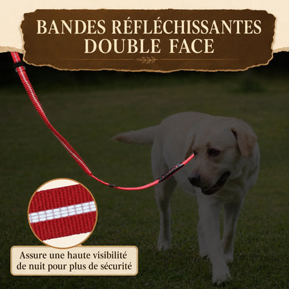 Laisse Tactique Amortissante Double Poignée - Bandes réfléchissantes